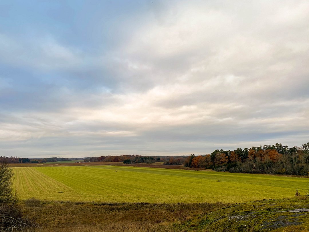 Rösaringsåsens naturreservat, Bro - november 2023 slatt